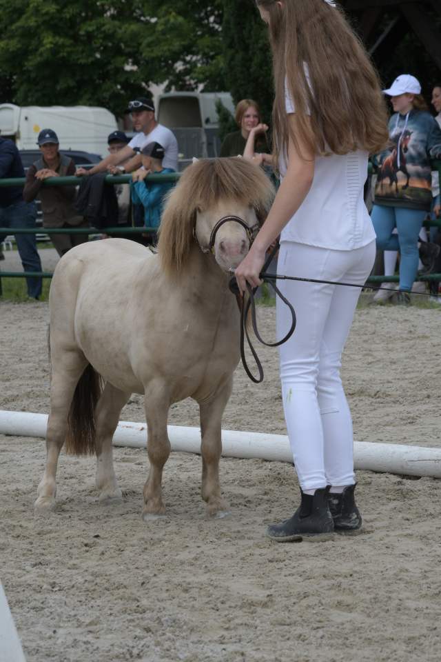DSC_6603